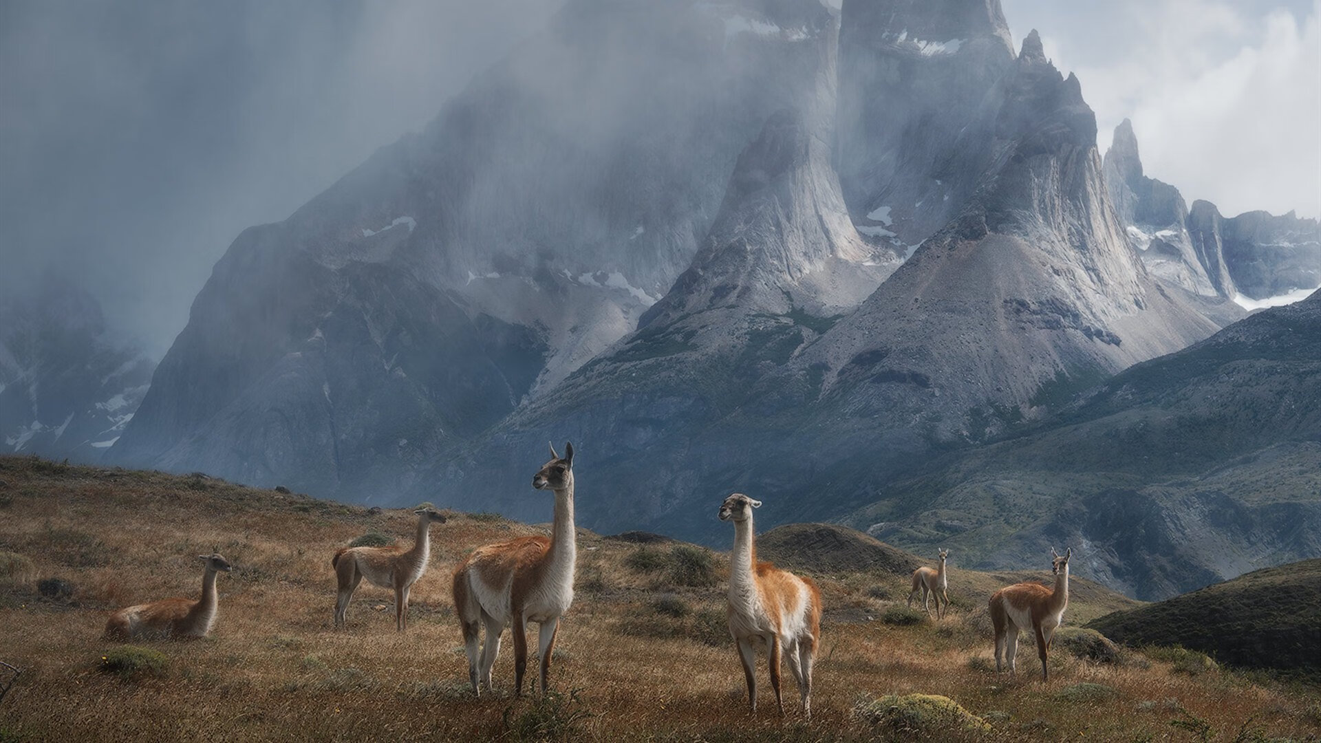 fb体育官网首页-胜负瞬间：最紧张刺激的比赛收官时刻，胜负的视频