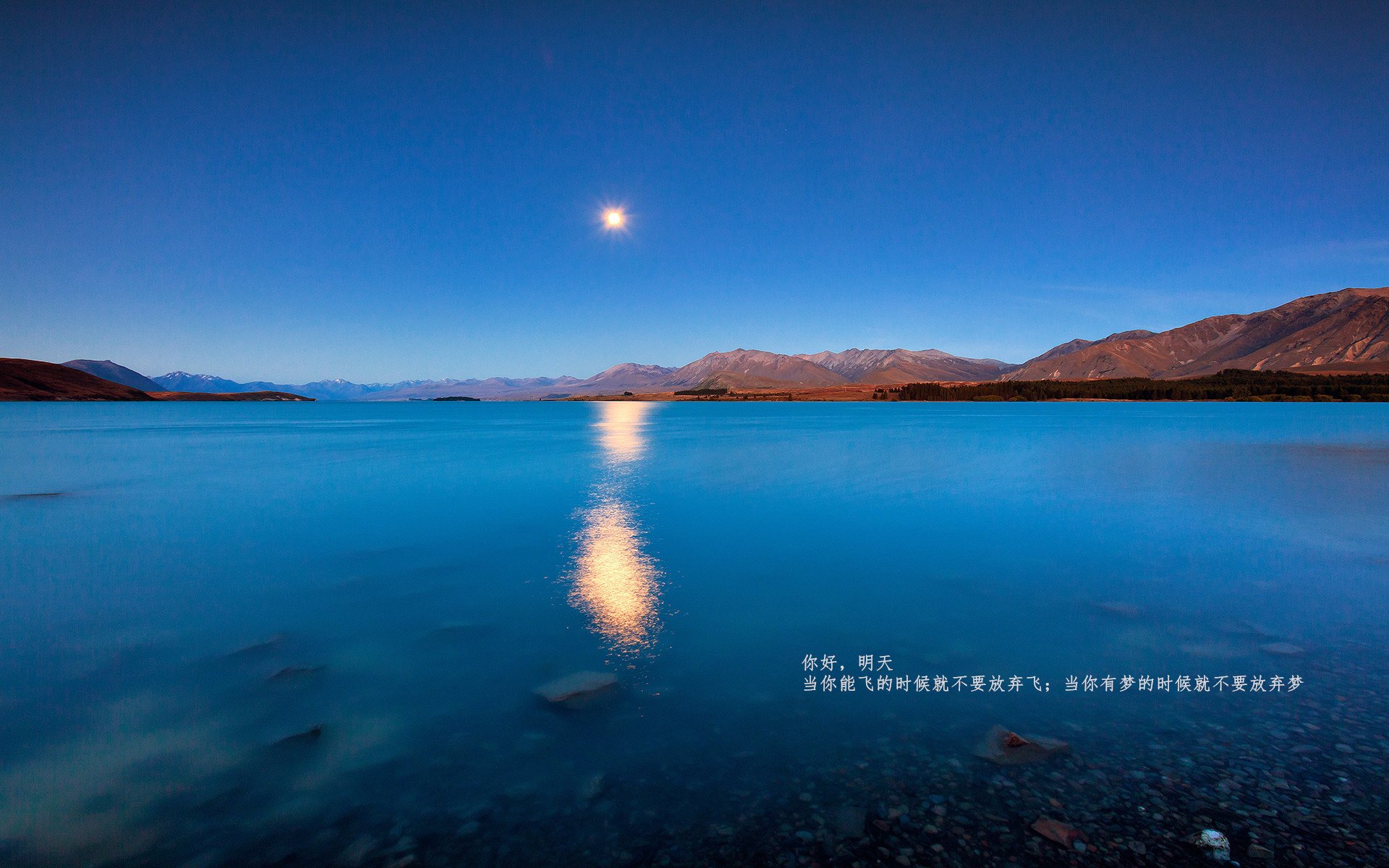 fb体育官网入口-北京首钢新援表现令人期待，北京首钢引援新闻