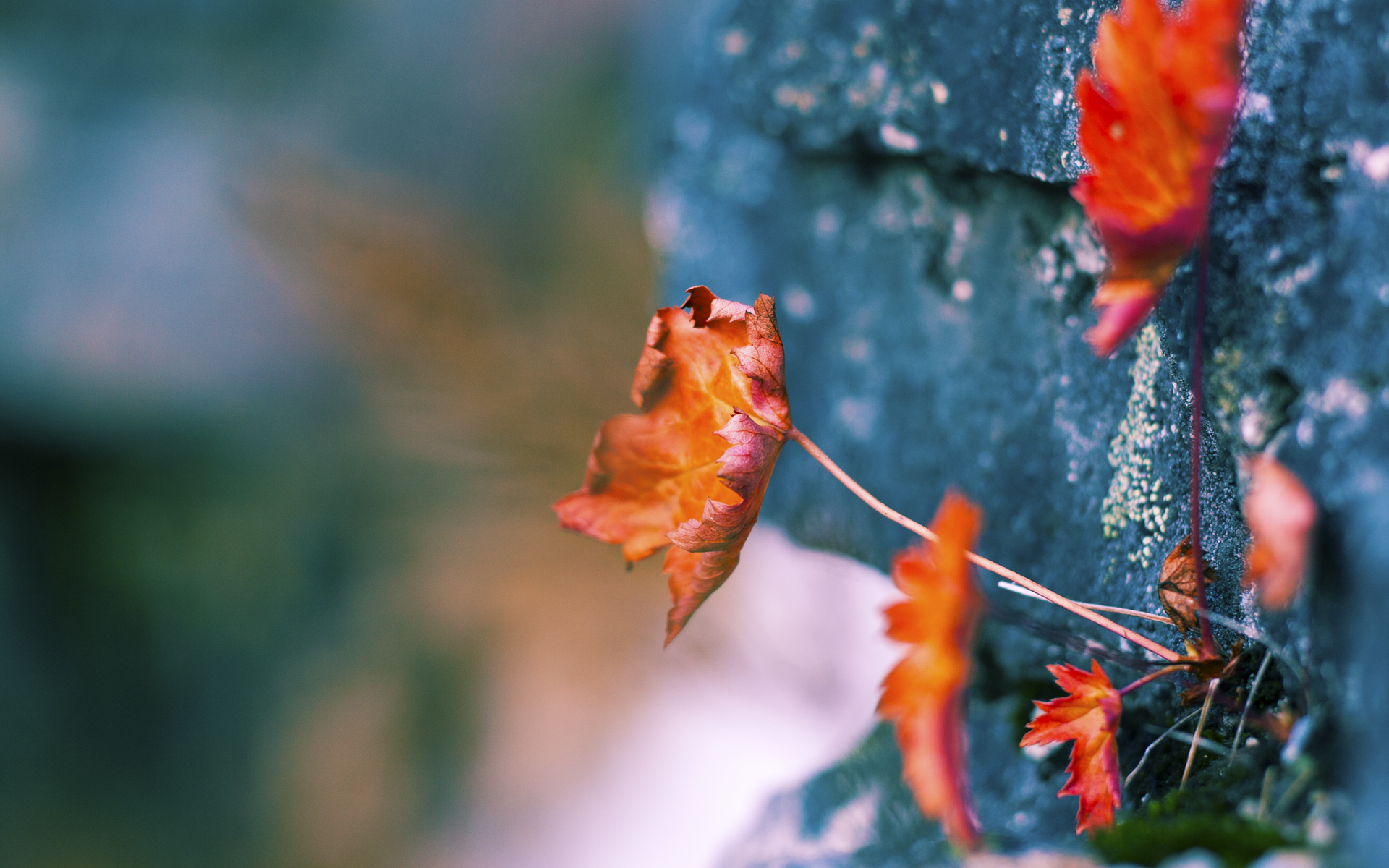 fb体育登录入口-是否应推出职业球员社交行为准则，职业球员和业余球员对抗