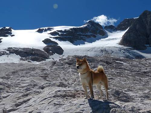 fb体育投注-爱尔兰队无力回天：克罗地亚大比分晋级，2021爱尔兰足球