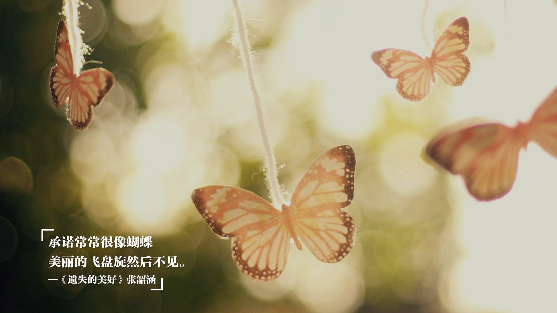 fb体育中国官网-首尔SK骑士替补阵容贡献稳定，skt俱乐部在首尔哪个区