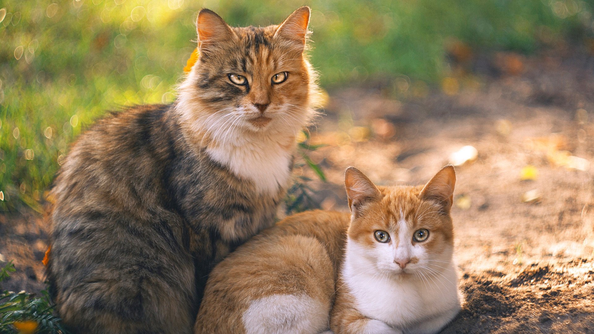 fb体育试玩-新闻中心发布年度战略规划，战略部署会议新闻稿