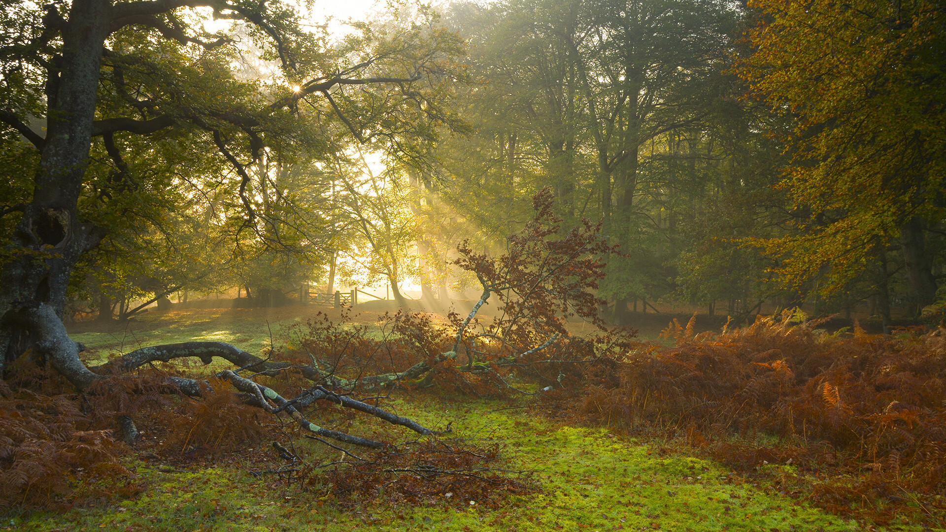 fb体育赛事平台-乒乓球公开赛爆冷场面频现观众沸腾，乒乓球2021最新公开赛