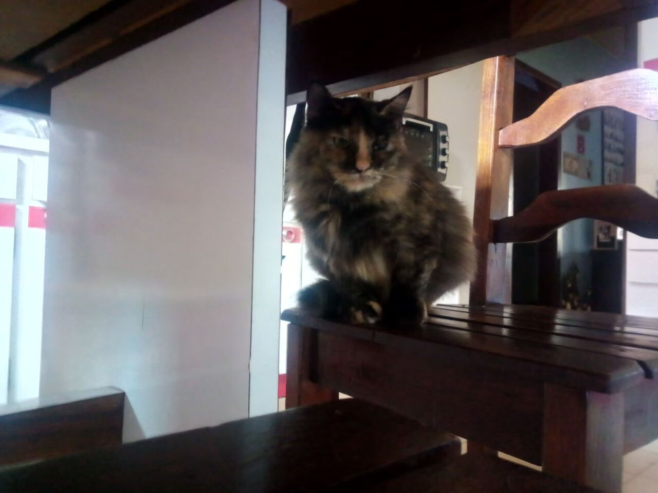 fb体育试玩-国家队引入比赛情绪引导课程培养抗压情绪管理