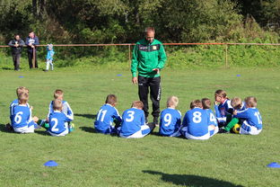 fb体育官网-德甲战术大变：变化迅速，精彩纷呈，德甲赛制介绍