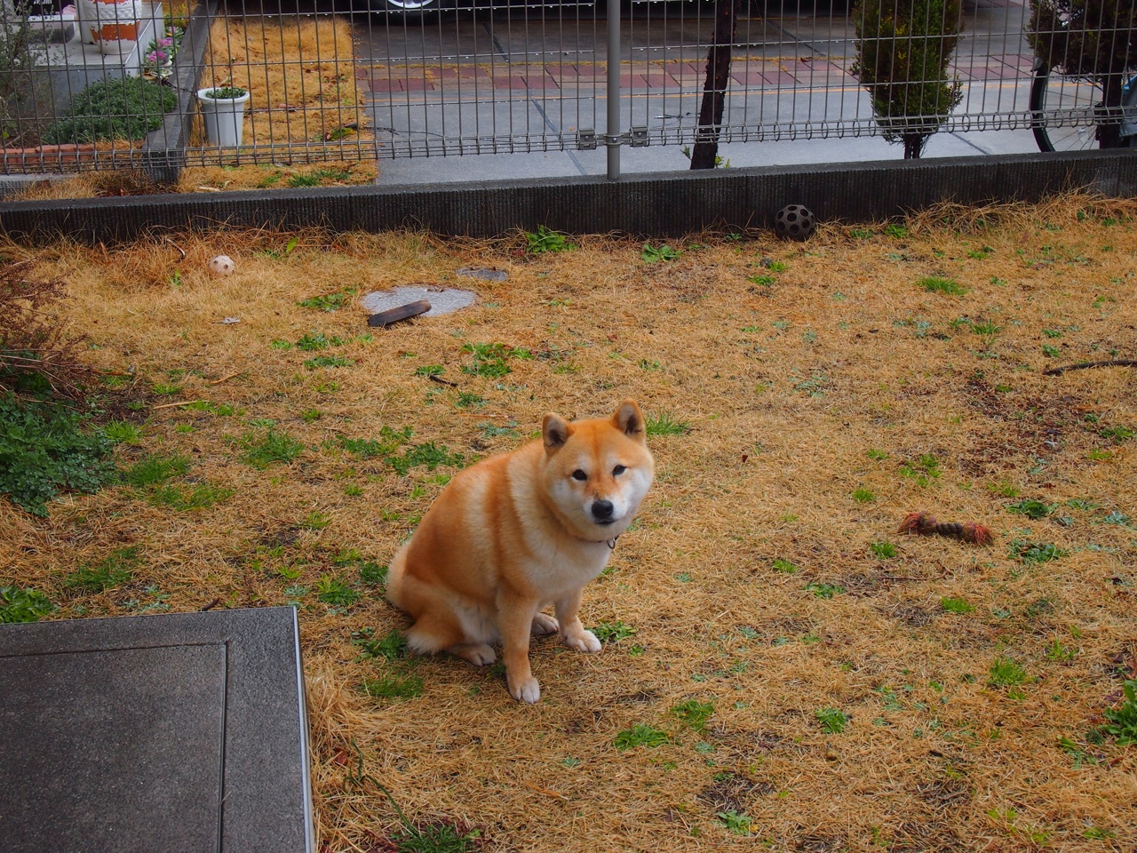 fb体育官网中国-欧洲杯变阵惊奇：布局巧妙，奇迹不断！，欧洲杯杯2022